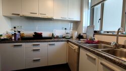 Amaryllis Ville (D11), Condominium #575989781